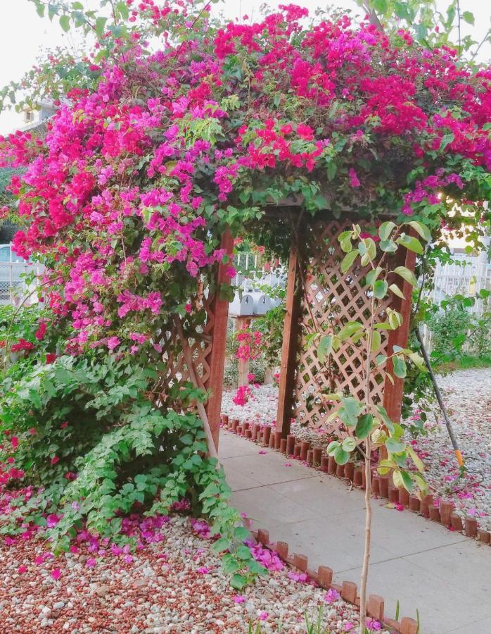 The Red Guest House In Downtown لوس أنجلوس المظهر الخارجي الصورة